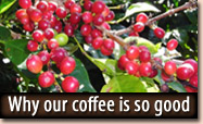Why Our Coffee Is So Good